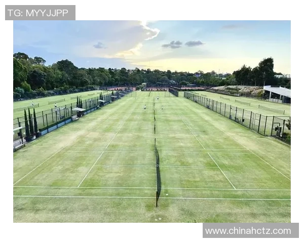 网球运动的发展历程与技术创新：从草地到硬地的演变与未来趋势